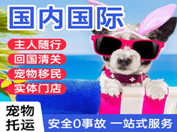 吴圩航空空运国际宠物托运 【国